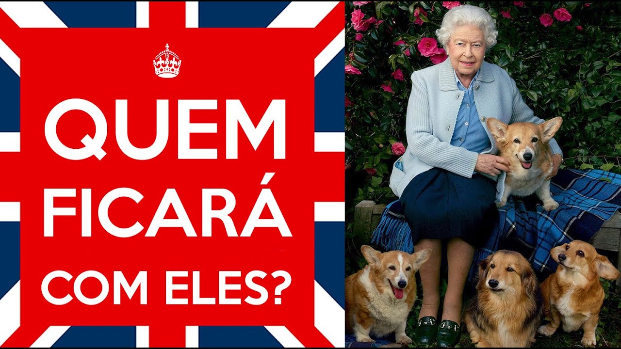 💔 QUAL O DESTINO DOS CORGIS DA RAINHA APÓS ANDREW PERDER TÍTULOS REAIS?💔