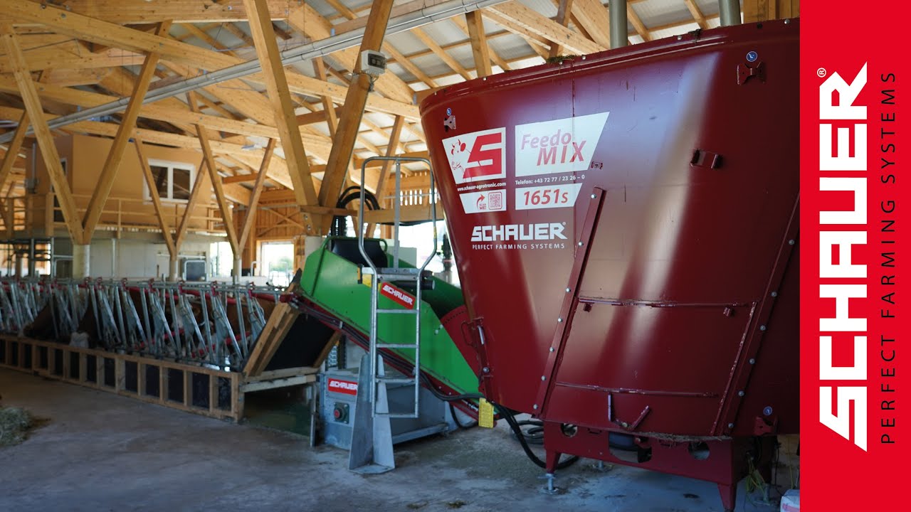 🐄 Moderner Milchviehstall mit FeedoMix Futterband bei Familie Eder