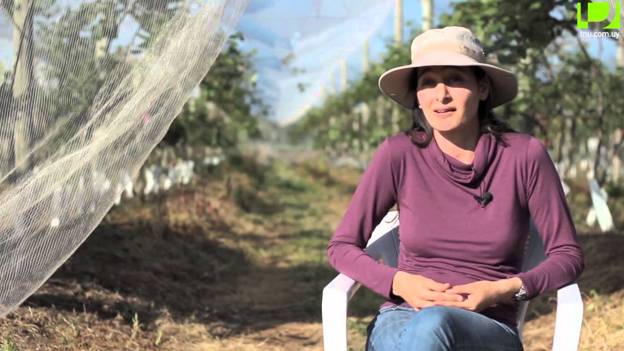 Uruguay Agrointeligente: Hortifruticultura