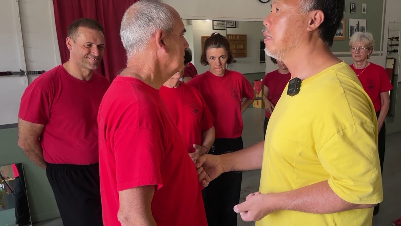 Arts martiaux internes - Xingyi Quan, Taichi Chuan & Qi Gong - Nei Gong (base)