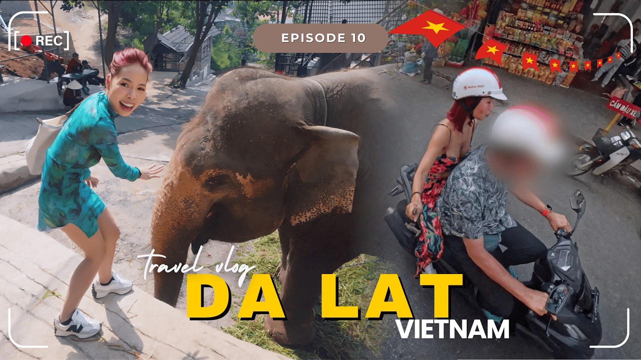 This City In Vietnam Really Surprised Me!