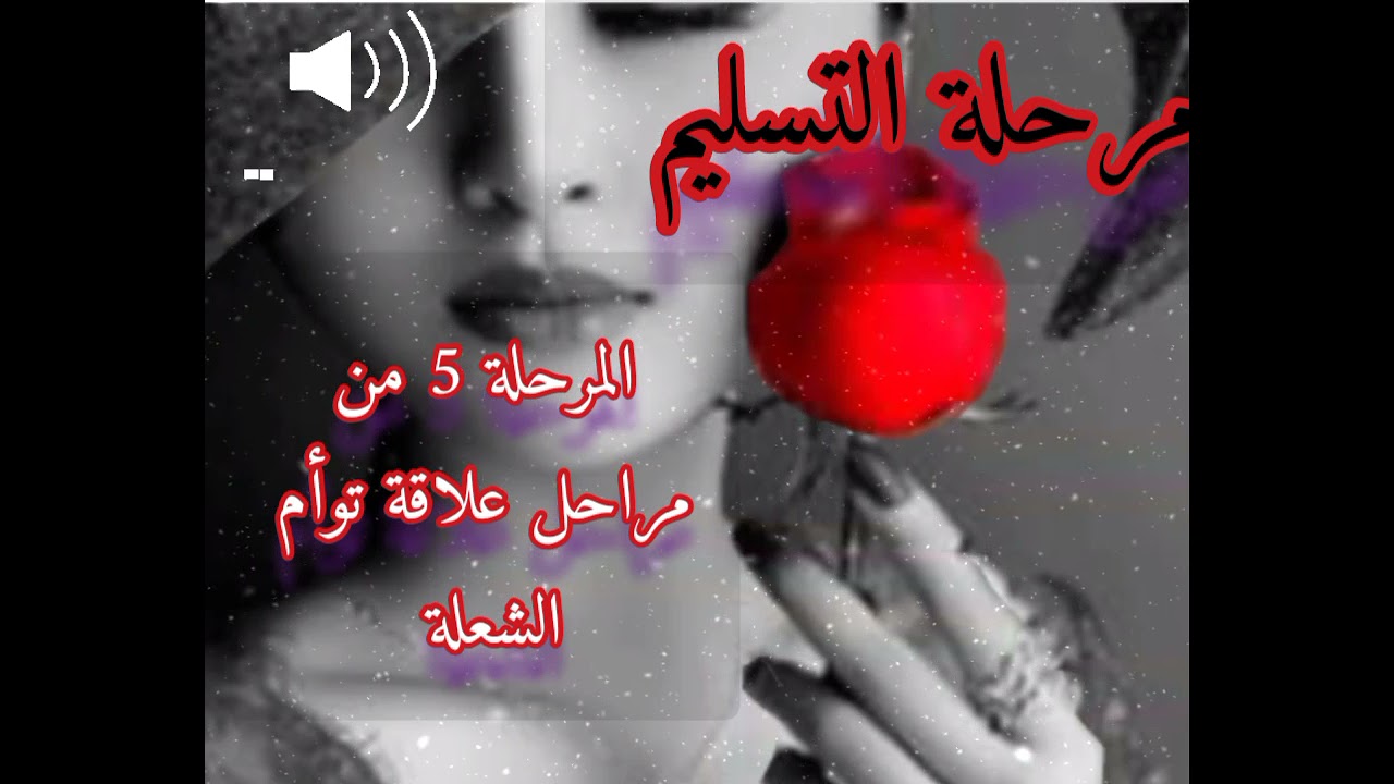 #توأم_الشعلة#مرحلة التسليم.