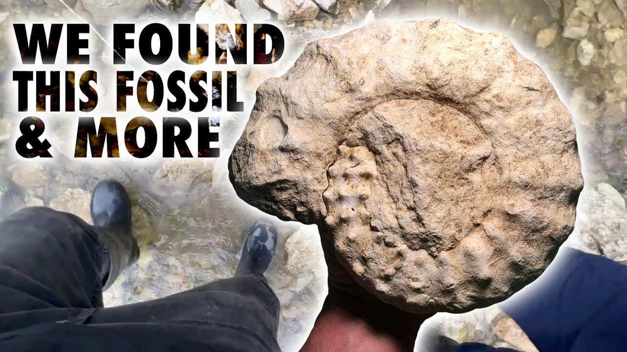 BIG RAINS Yield AMAZING FOSSIL FINDS - North Texas - June 2024 - FOSSIL HUNTING