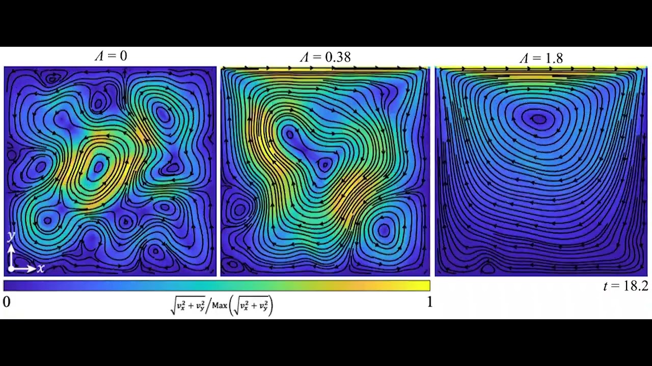 Movie S5: Simulated flow field in a 2D extensile active fluid confined in a square cavity