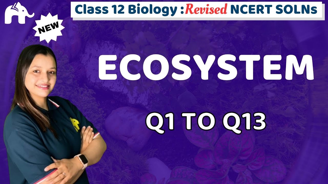 Ecosystem Class 12 Biology | Revised NCERT Solutions | Chapter 12 Biology Questions 1-11
