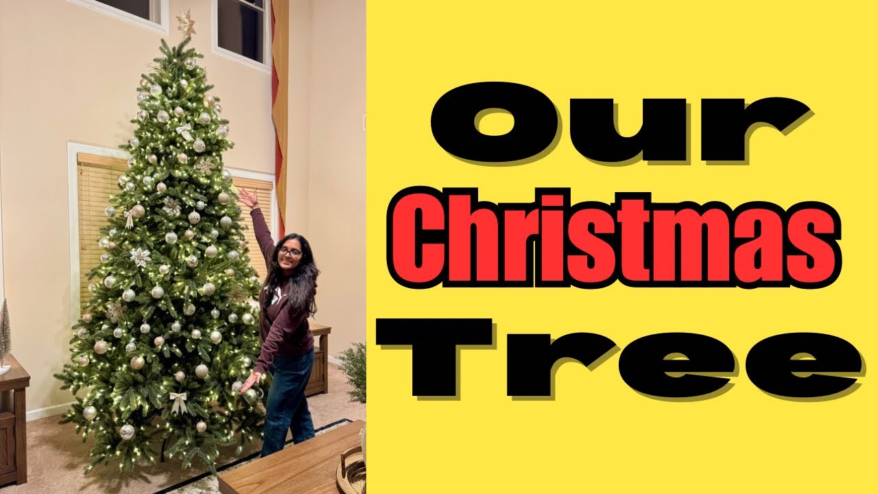 Vlog 78 -  Surprising My Family With Our FIRST Christmas Tree 🎄 | Malayalam Vlog