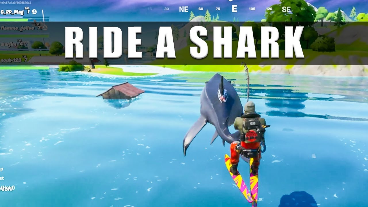 Fortnite how to ride a shark
