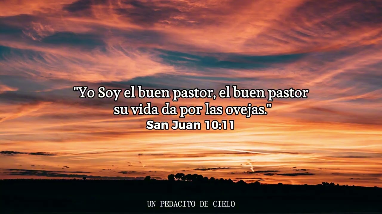 La Paz que Dios Solo Puede Dar
