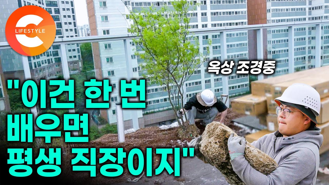 사무직 그만두고 평생 할 수 있는 기술을 배우러 왔습니다. 6층 콘크리트 건물 옥상에 정원을 만드는 기술자들ㅣ조경 작업 과정ㅣ#극한직업