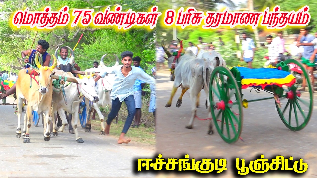 ஈச்சங்குடி பூஞ்சிட்டு 1 பந்தயம் 22.03.2026