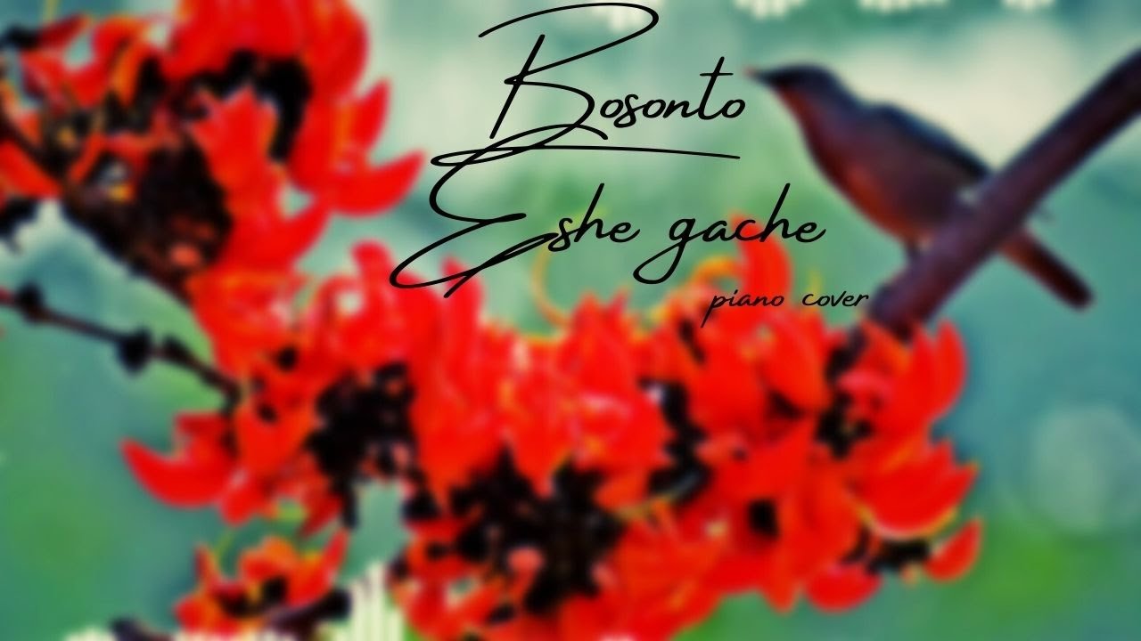 Boshonto Eshe Geche Song | Piano Cover | Holi special | Anupam Roy