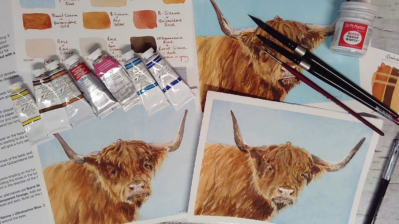 Highland Cow in Watercolour