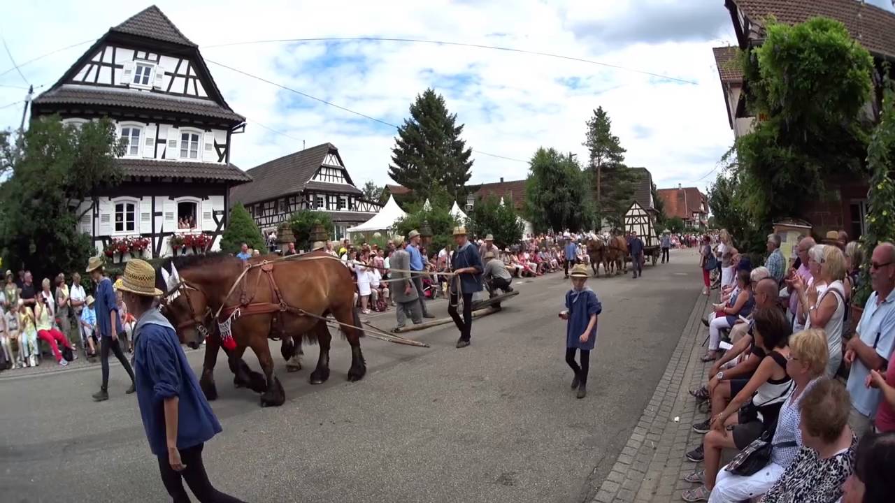Streisselhochzeit Seebach Nordelsass Frankreich 18.7.2016 Actioncam T12