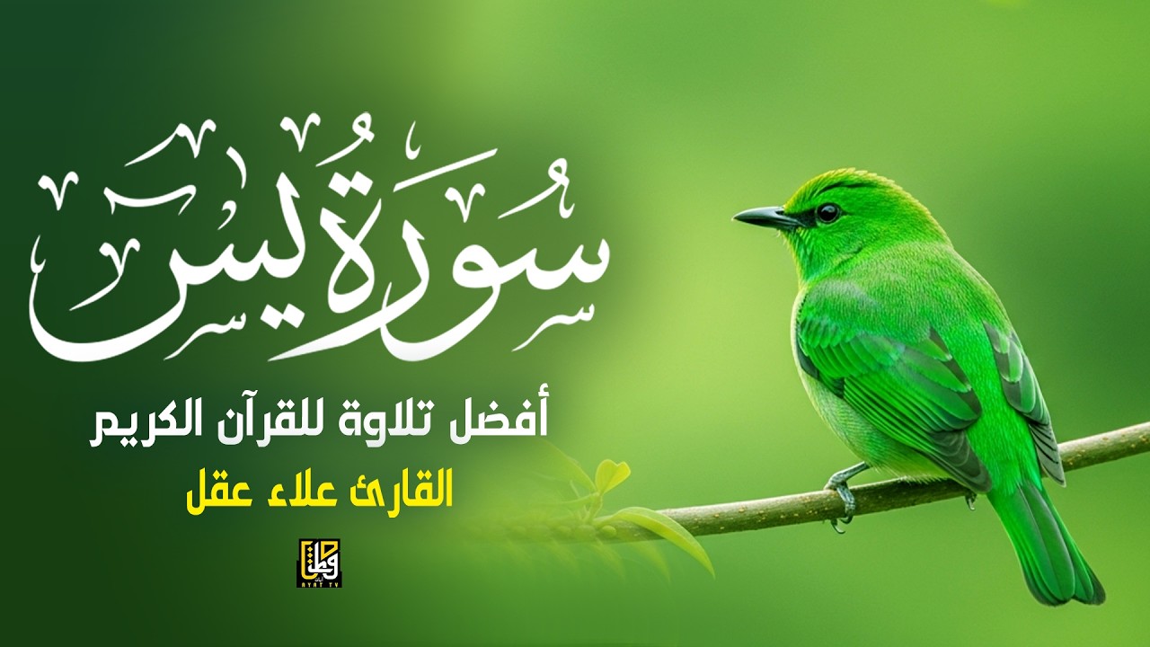 سورة يس (كاملة) أفضل تلاوة للقرآن الكريم - القارئ علاء عقل Surah Yaseen By Alaa Aqel