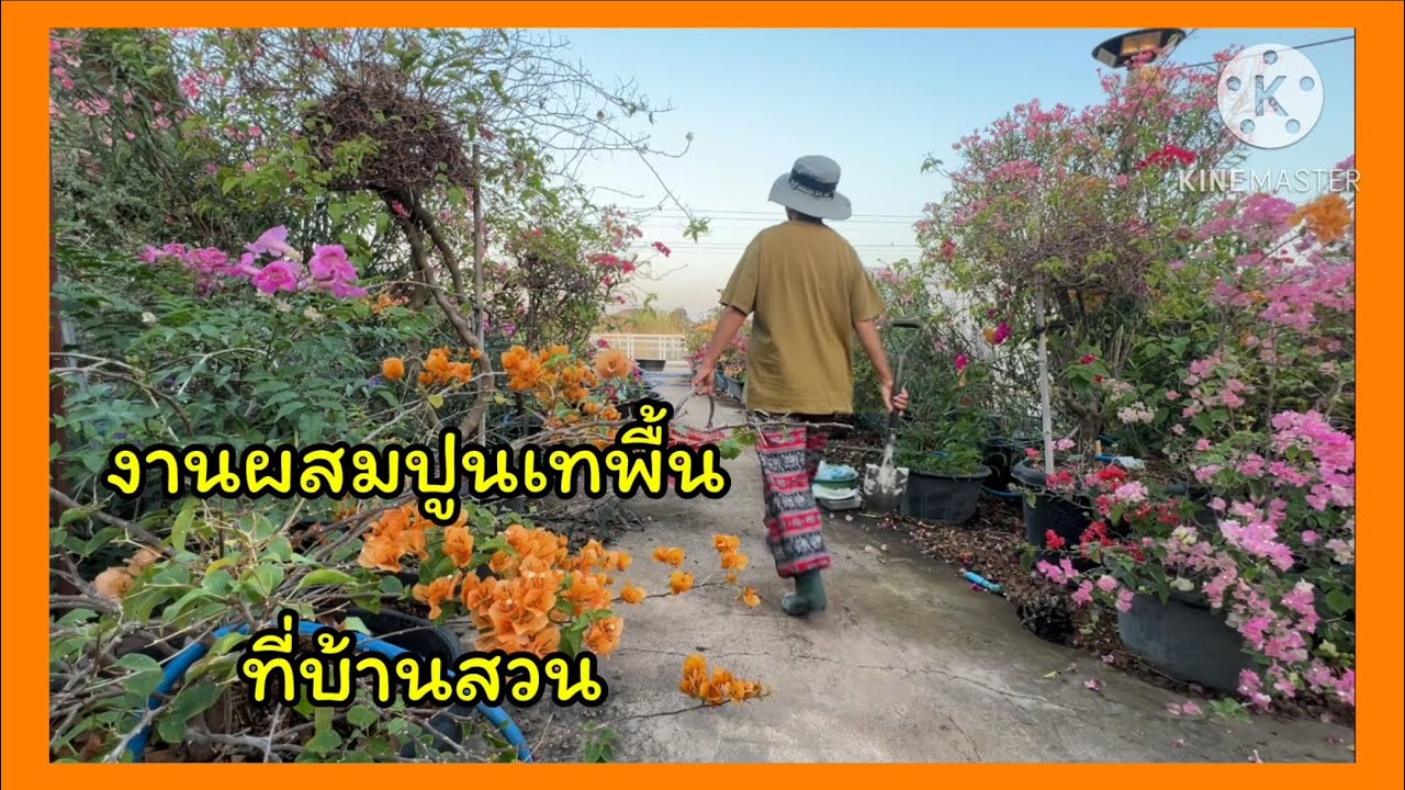 งานผสมปูนเทพื้นที่บ้านสวน🪴❤️🪴