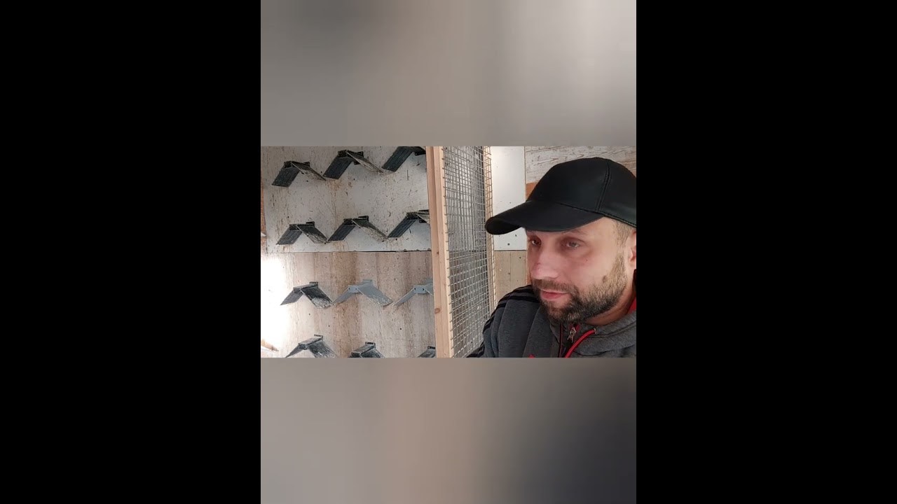 Wspólne gołebniki w Anglii (cz3.)