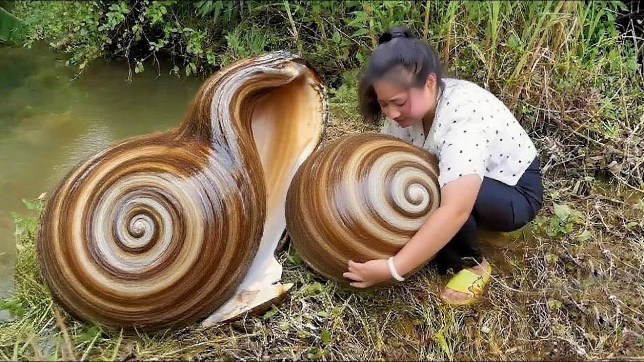 The huge oyster shell twisted into a heart shape, attracting countless girls with beautiful pearls