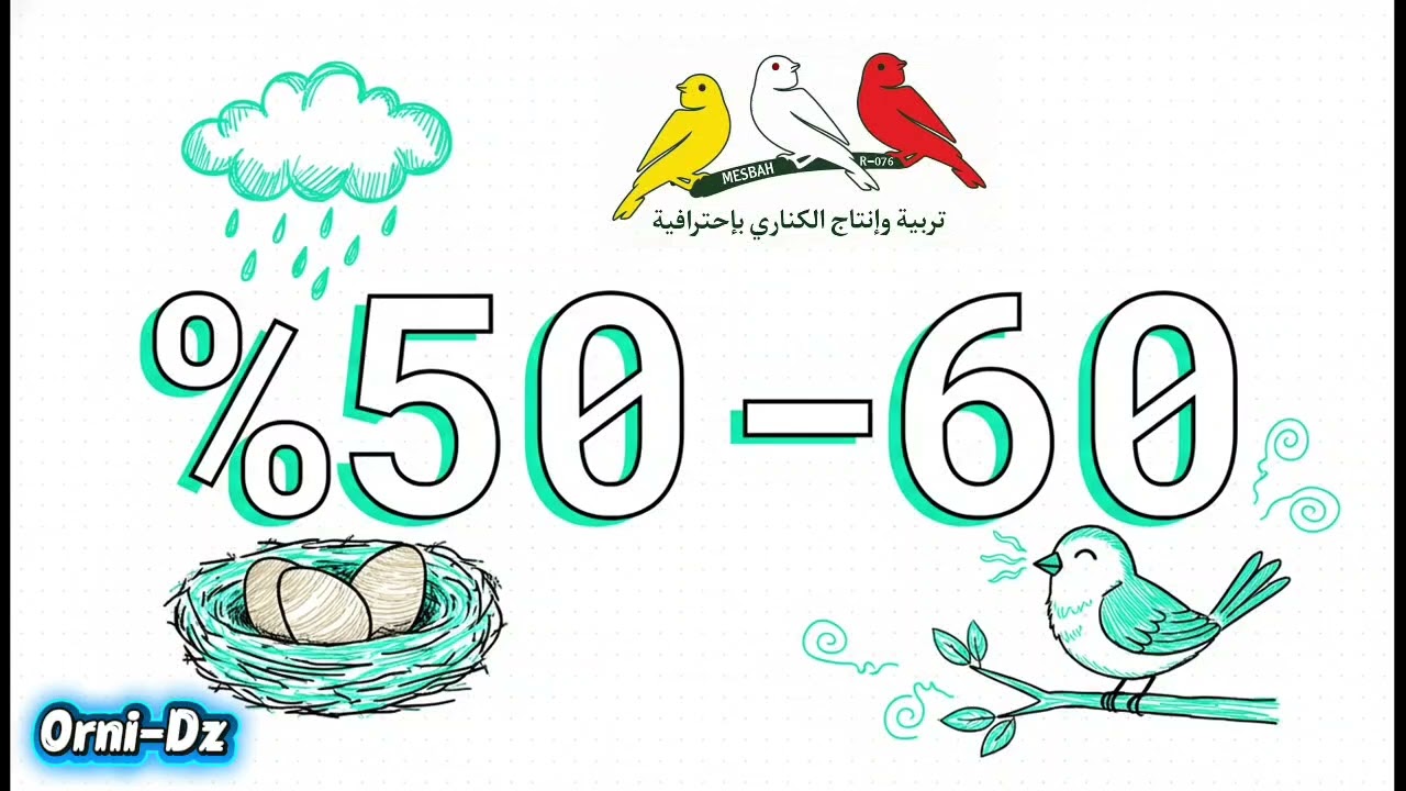 مخطط المربي لإنجاح موسم التزاوج 🥰😘