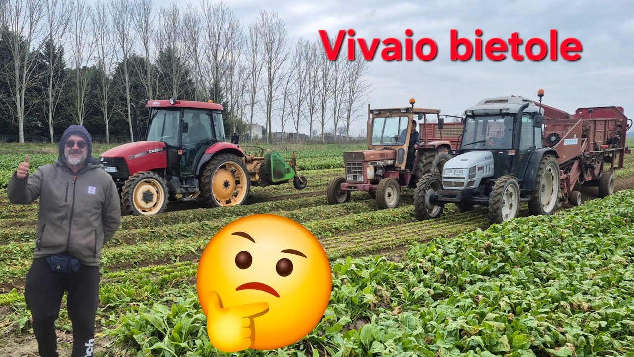 Raccolta vivaio bietole 2026
