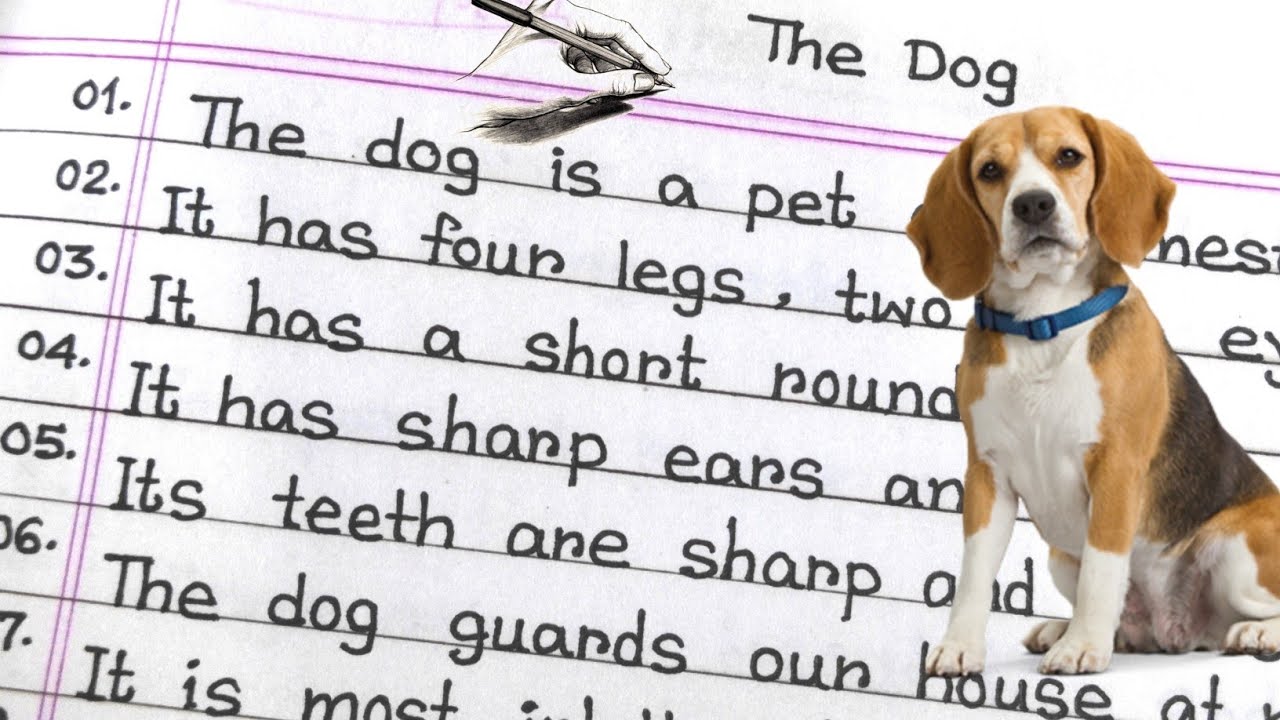 Essay On The Dog In English ॥ 10 Lines On Dog In English ॥ Study Koro ॥