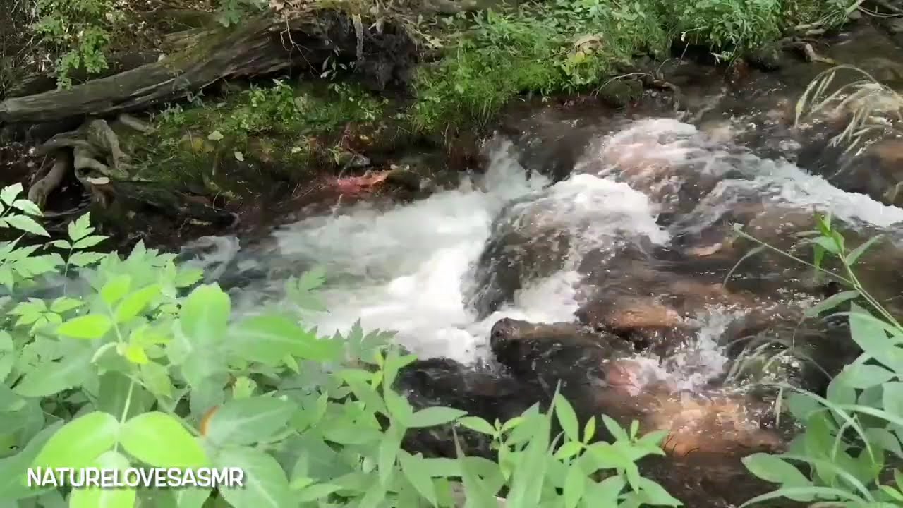 Ultimate Smoky Mountains Peaceful Mountain Stream Sounds ASMR