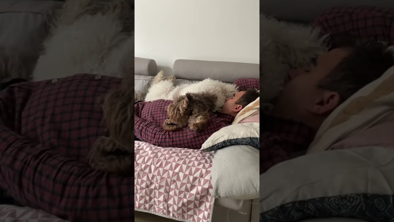 Napping buddies 💤