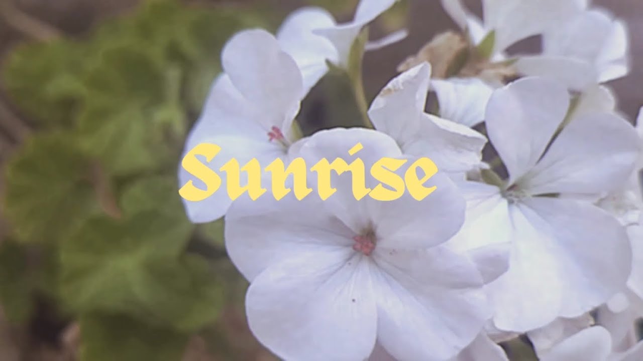 Chepe AKS - Sunrise (Ft @Desaliens) Video Lyric 