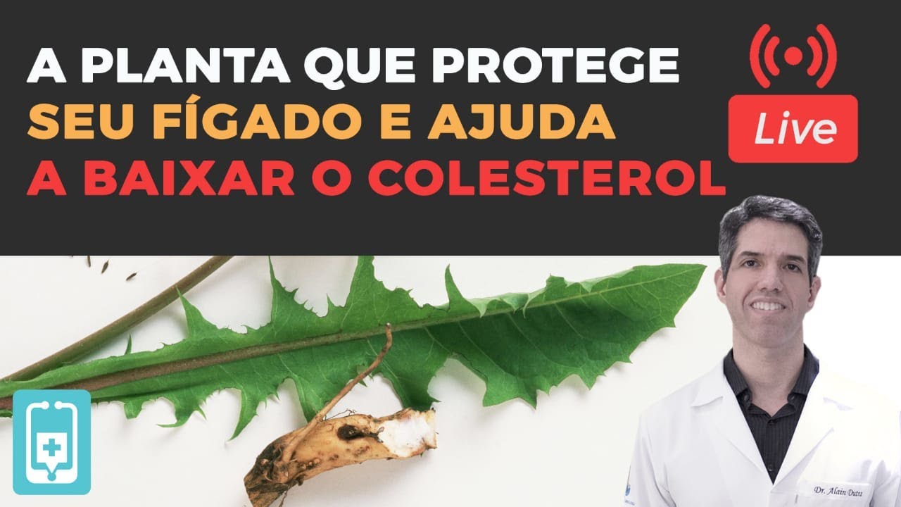 Dente-de-leão: A Planta que protege seu fígado e ajuda a baixar os níveis de colesterol
