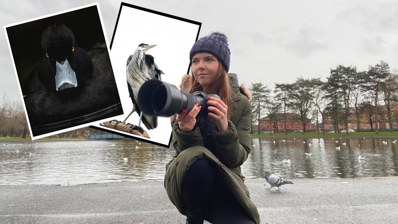 Bird photography in the park | Wildlife Photography Vlog #30