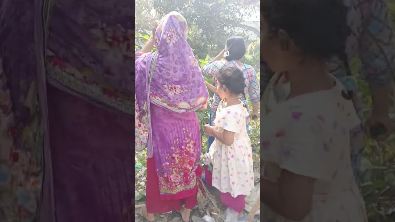 নিজের গাছের সিম🌿🫒