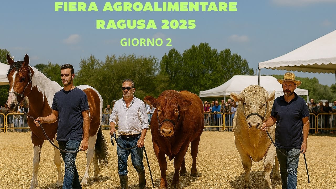MOSTRA EQUINA E MOSTRA BOVINI ALLA FAM RAGUSA 2025 - PARTE (2/3)
