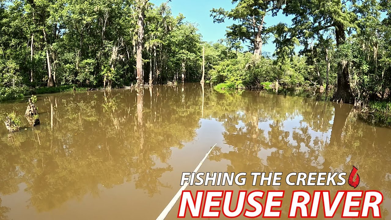 Fishing the Creeks - The Neuse River 2025