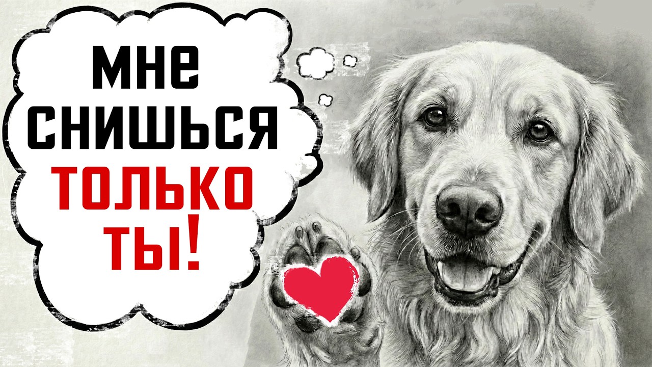 Ваша собака ВИДИТ ТОЛЬКО ВАС, когда спит! Доказательства Гарварда (Трогает до слез)