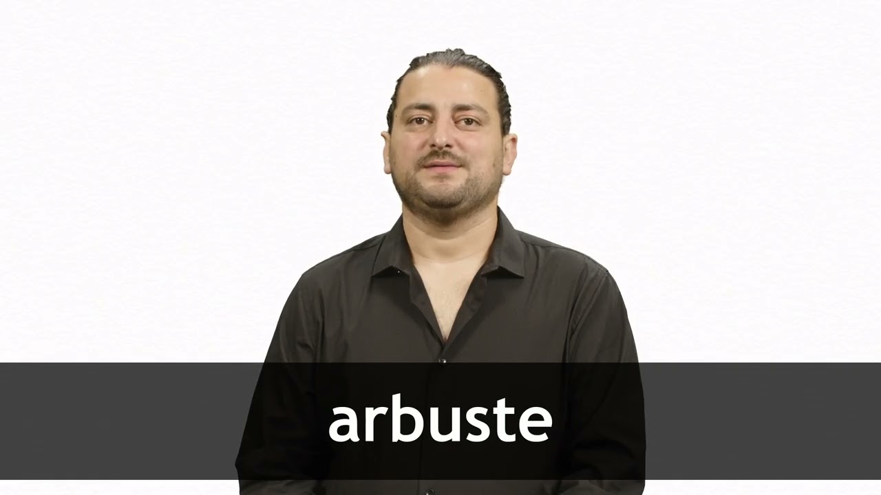 How to pronounce ARBUSTE in French