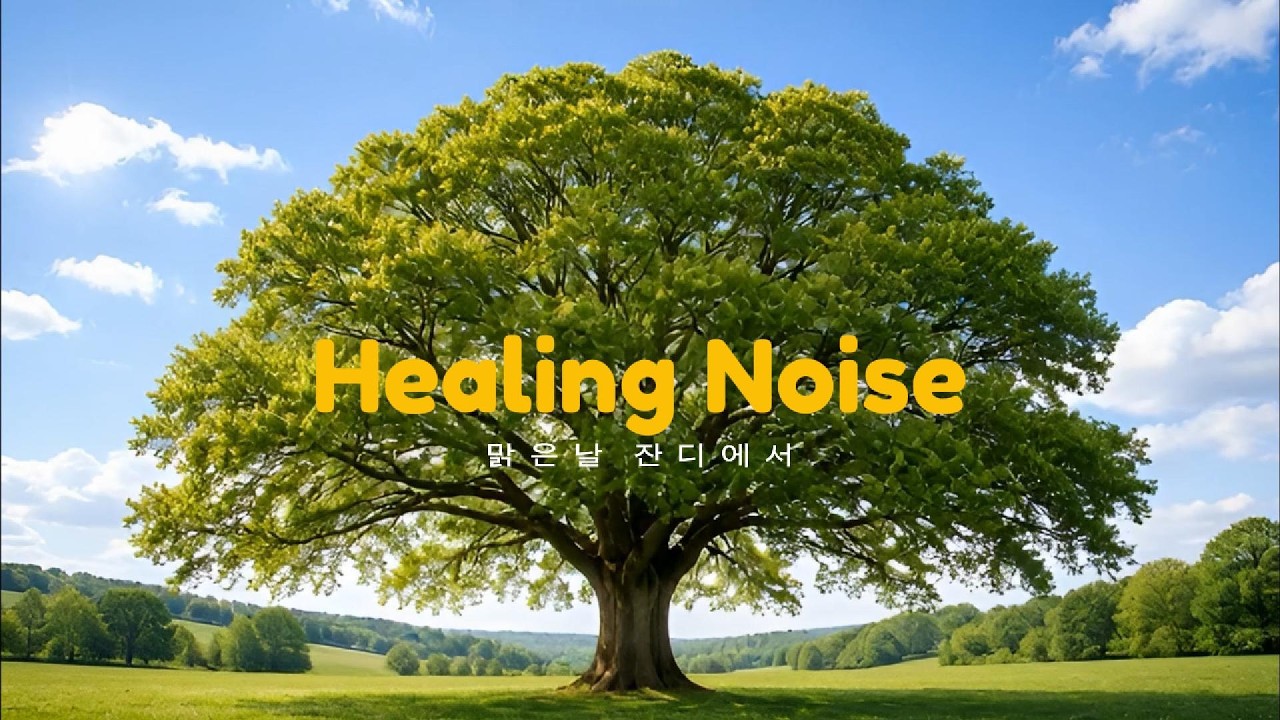 힐링노이즈 햇살 비치는 나무 아래 낮잠 시간 | 마음이 편안해지는 어쿠스틱 기타와 바람 소리 #힐링노이즈 #힐링 #ASMR #초원산책 #명상음악 #수면음악 #집중력강화 #백색소음