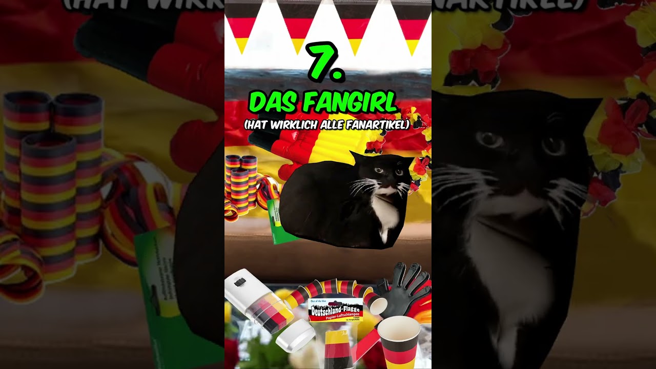 Arten von Leuten bei der Europameisterschaft aber mit Katzen