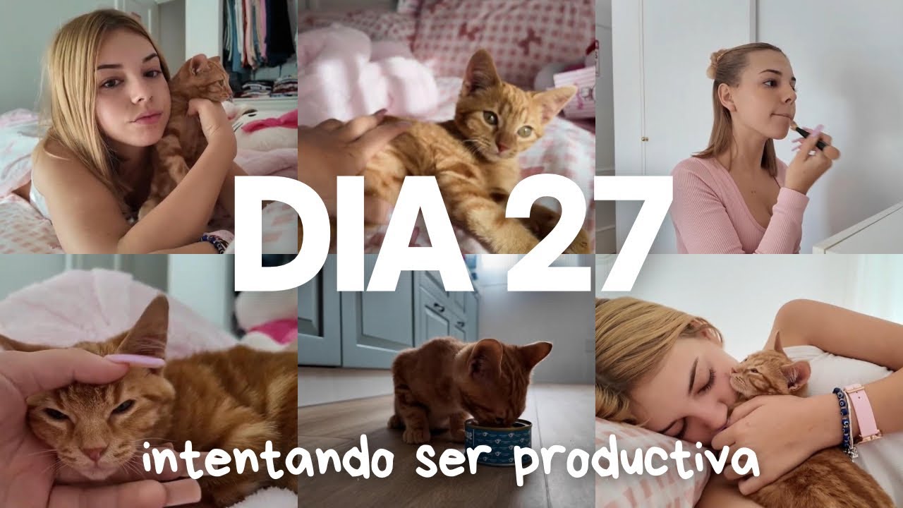 cuento todo sobre mi gato 