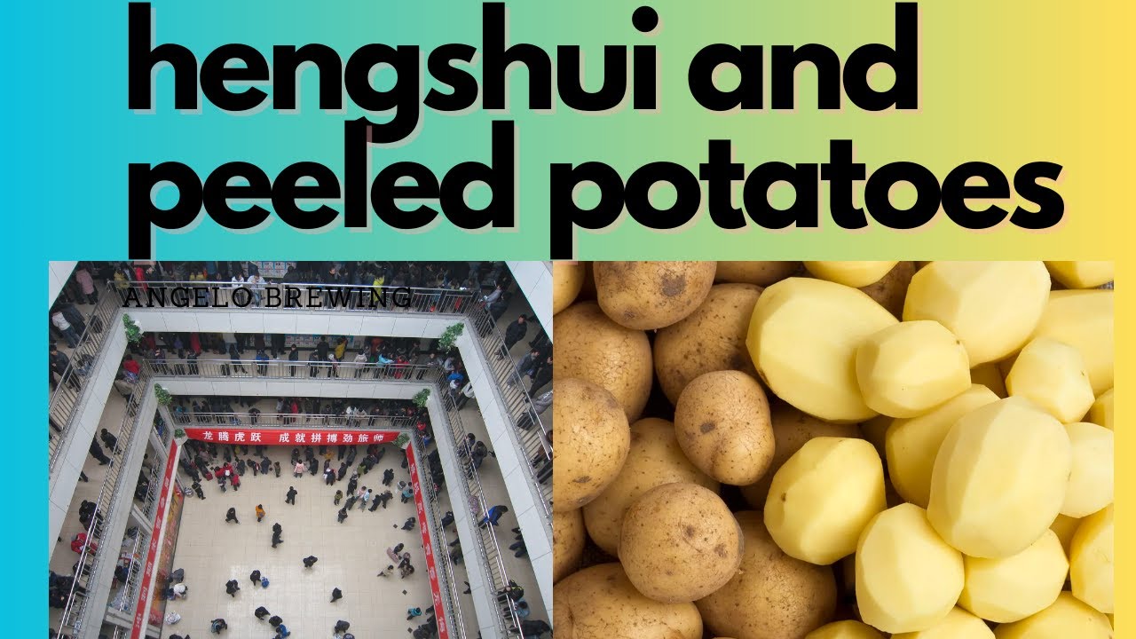 Unveiling China's Hidden Education Factory: 2557 Days at HSMS Part 2 Hengshui and peeled potatoes