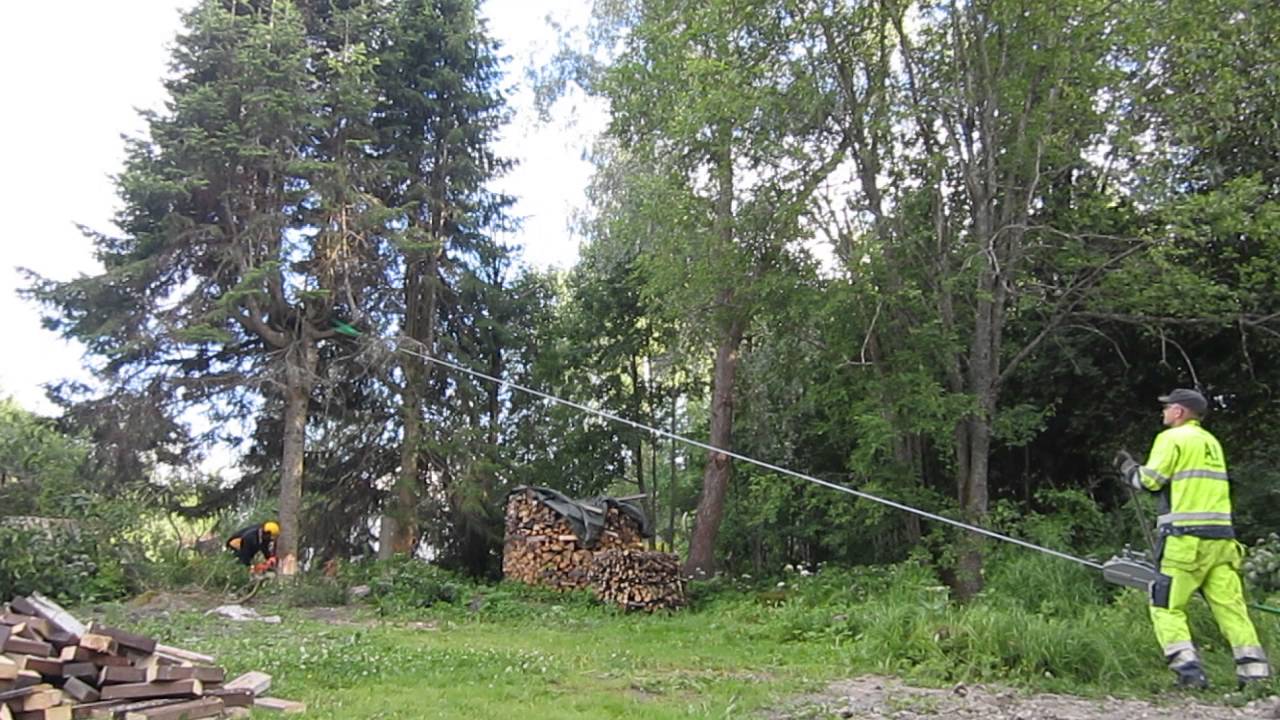 Pihakuusien pihapuiden kaadot stalpen lompakkotalja Stalpen kaadonsuuntaaja käteisellä