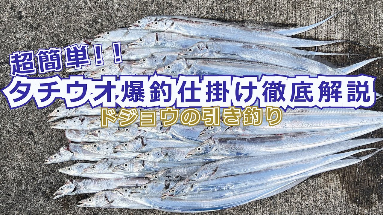【簡単】太刀魚が3桁釣れるようになります【ドジョウの引き釣り仕掛け】
