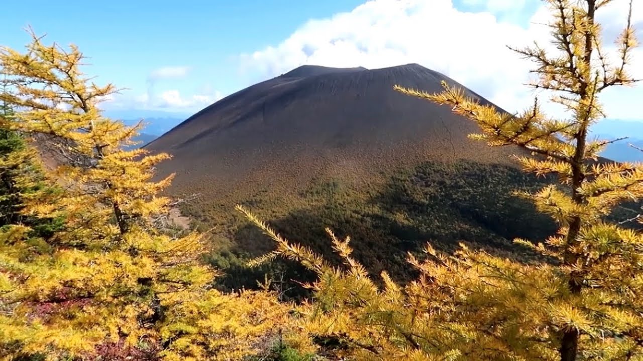 ＃ 21 登山  浅間山「絶景、黄金のカラマツ」車坂峠より、第一外輪山縦走コース トーミの頭→黒斑山→蛇骨岳→仙人岳→鋸岳→Jバンド→賽の河原→草すべり　高峰温泉　紅葉　縦走