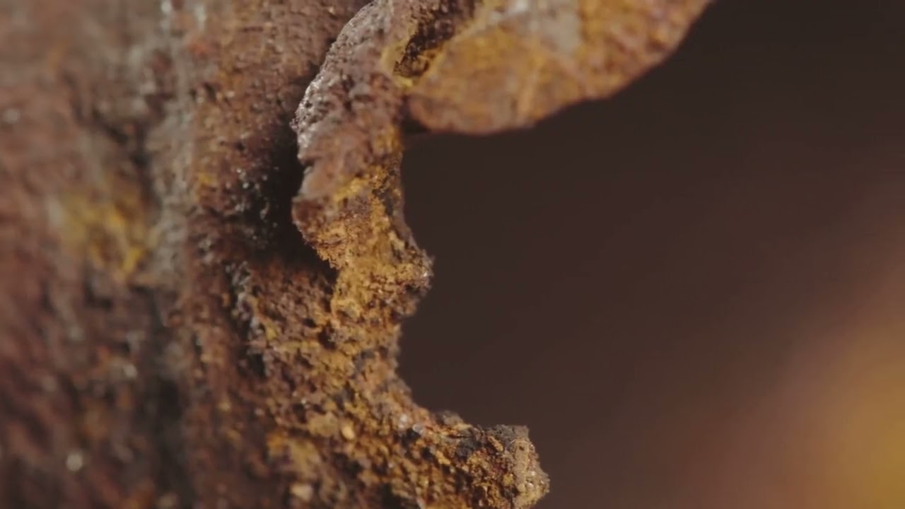 This 1,600 Year Old Pillar Outsmarted Rust