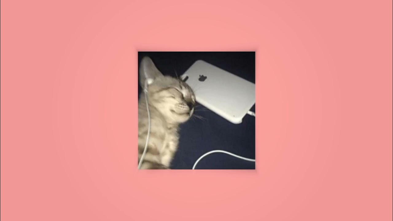 Celine Dion- Because You Loved Me (sped up)