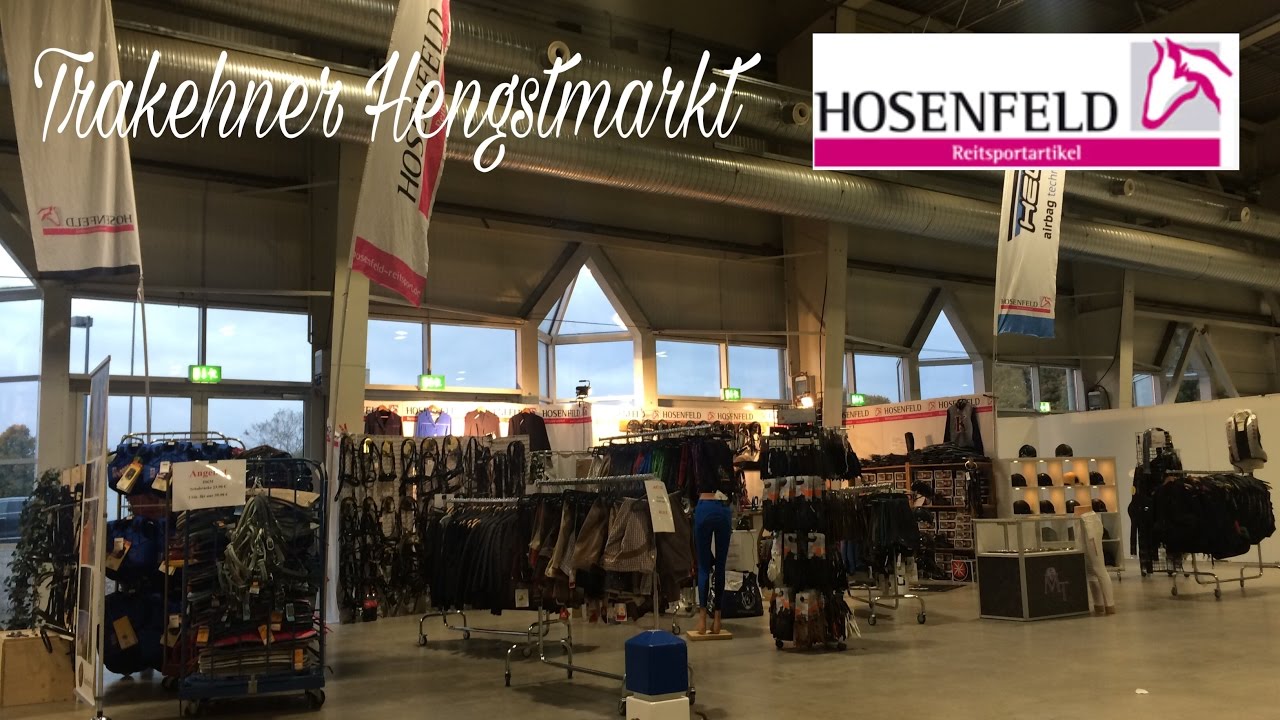 Trakehner Hengstmarkt - Aufbau vom Stand