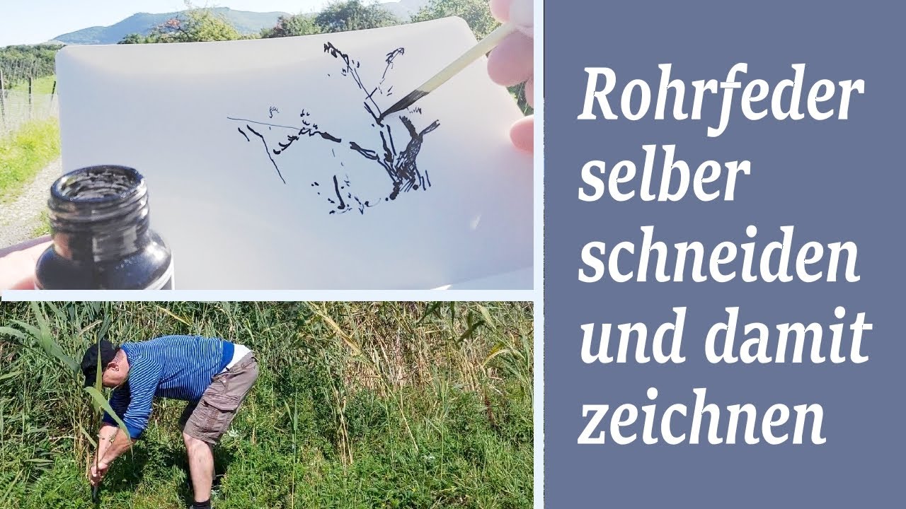 DIY: Zeichenfeder aus Schilfrohr - selbst gemacht!