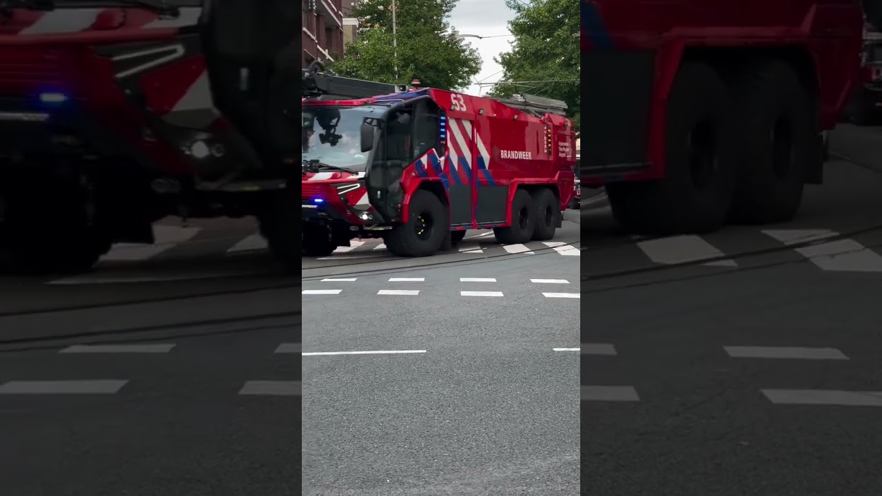Move aside and let the fire brigade convoy pass ! 🚨🚒