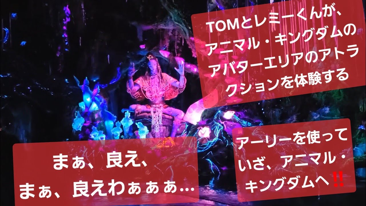 TOMとレミーくんが、アニマル・キングダムにアーリーインして、アバターエリアのアトラクションを2つ乗る動画