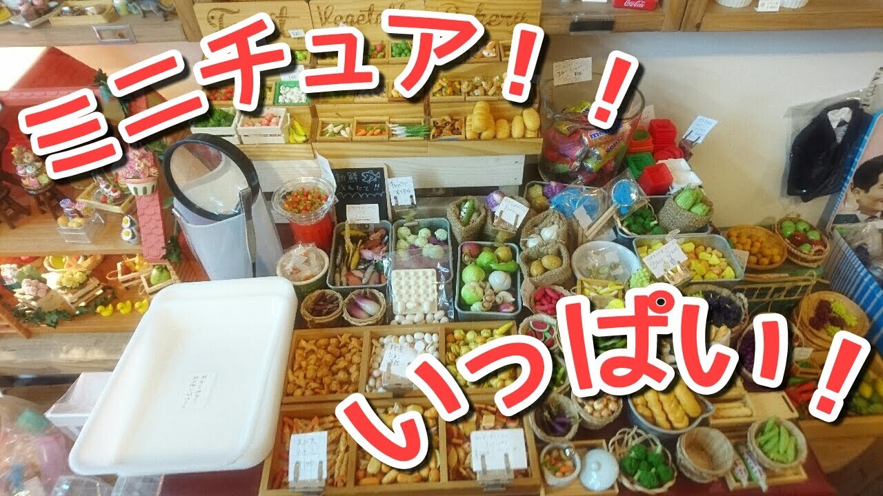 ミニチュア専門店に行ってきました！