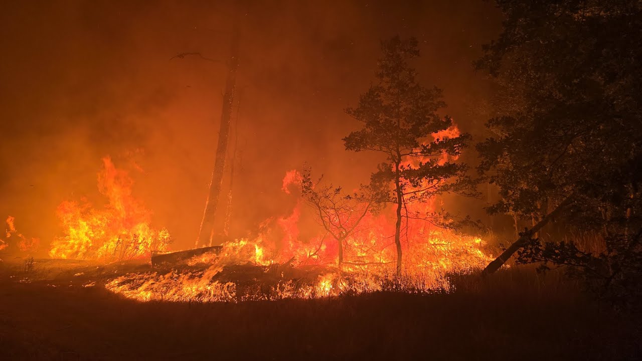 Waldbrand in der Gohrischheide. Wind lässt Feuer massiv ausbreiten - Orte müssen evakuiert werden.