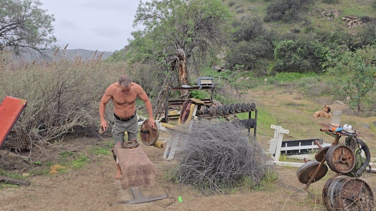 NO DAYS OFF DAY 280 - Training shoulders 